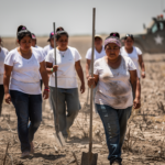 hf_20260303_101947_0d73380a-e91a-4ecb-be21-d698379f7389