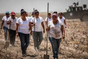 hf_20260303_101947_0d73380a-e91a-4ecb-be21-d698379f7389