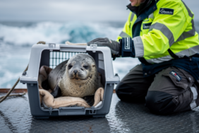 hf_20260331_083350_da48da0e-aae8-4597-b8f3-6e028c1dd95b